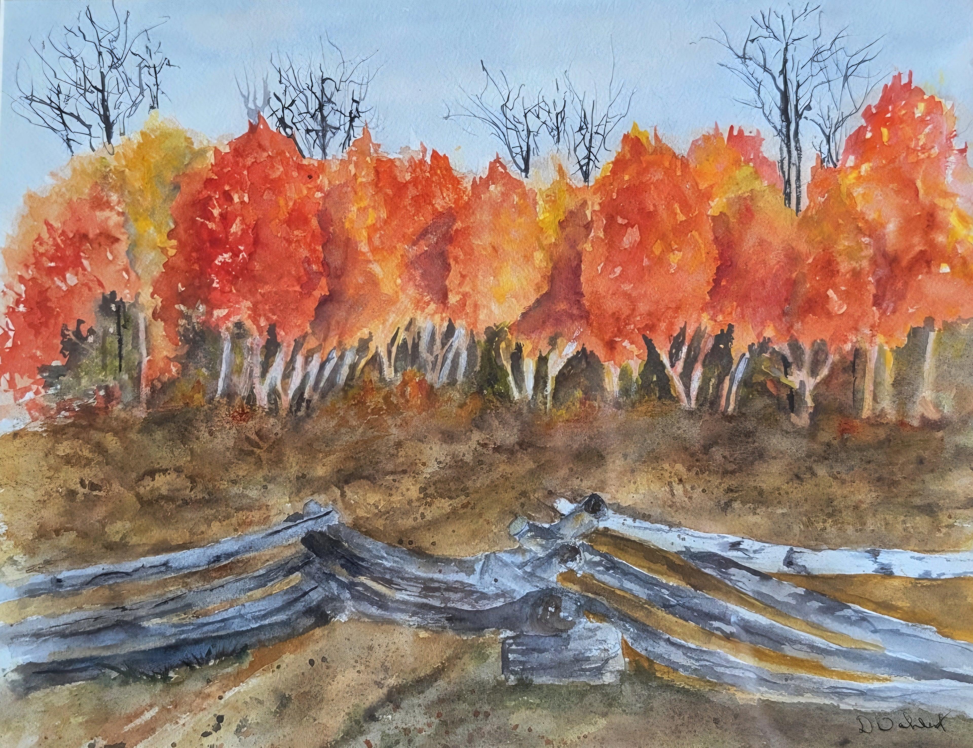 Fall Colors